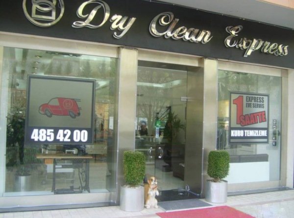 Dry Clean