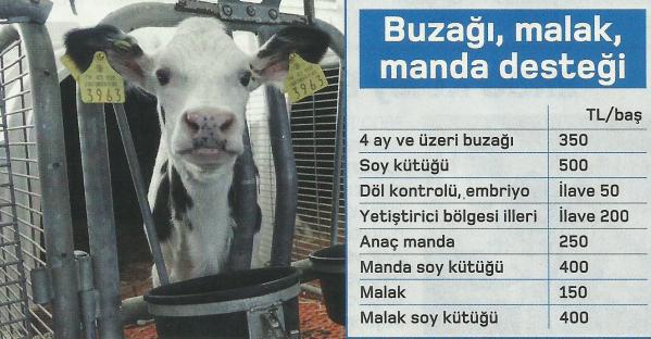 buzagi destek