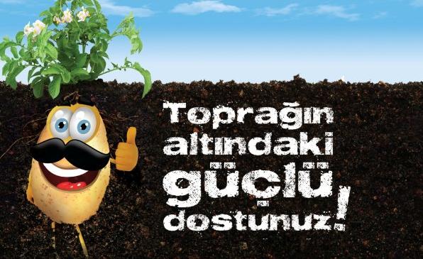 Bayer, Dijital Tarım Uygulamalarına Yatırım Yapıyor