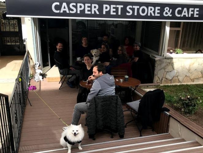 Casper Pet Store Cafe