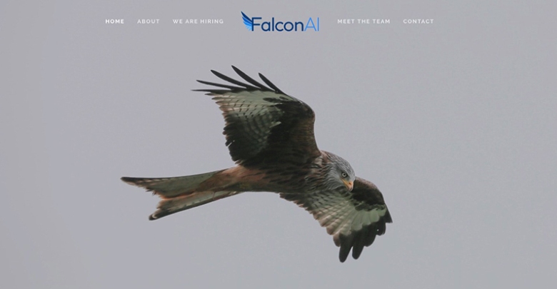 falconai