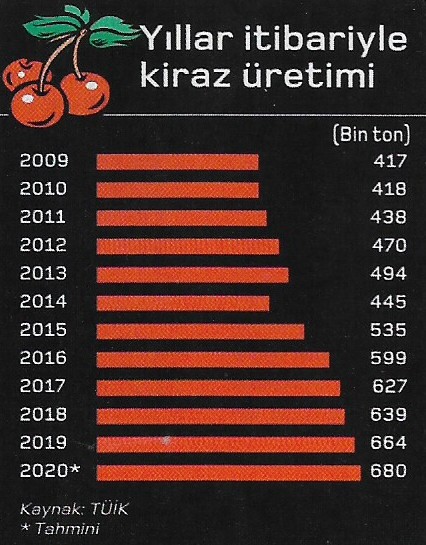 kiraz uretimi