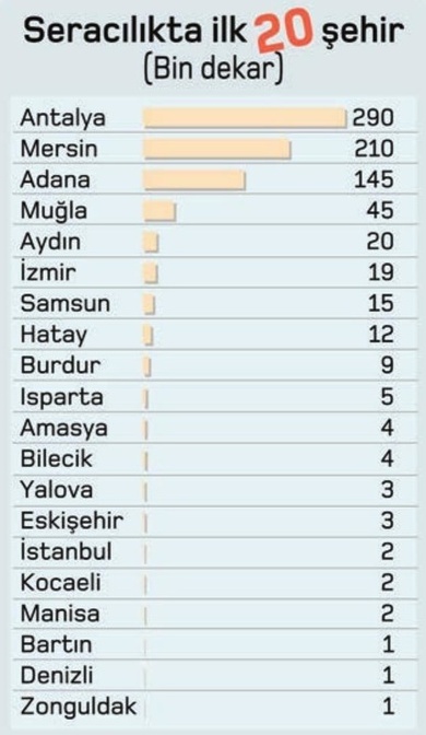 seracilikta 20 sehir