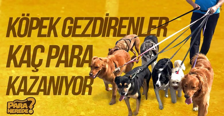 Köpek Gezdirenler Kaç Para Kazanıyor?