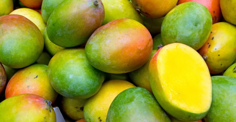 Mango yetiştiriciliği 